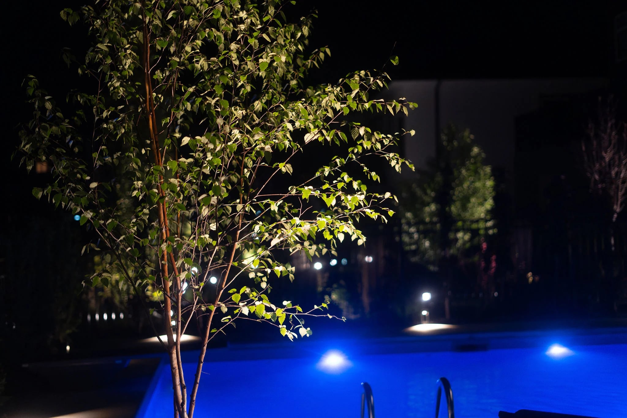 Gallery image 9 for Landscape Lighting – Bridgewater Trails
