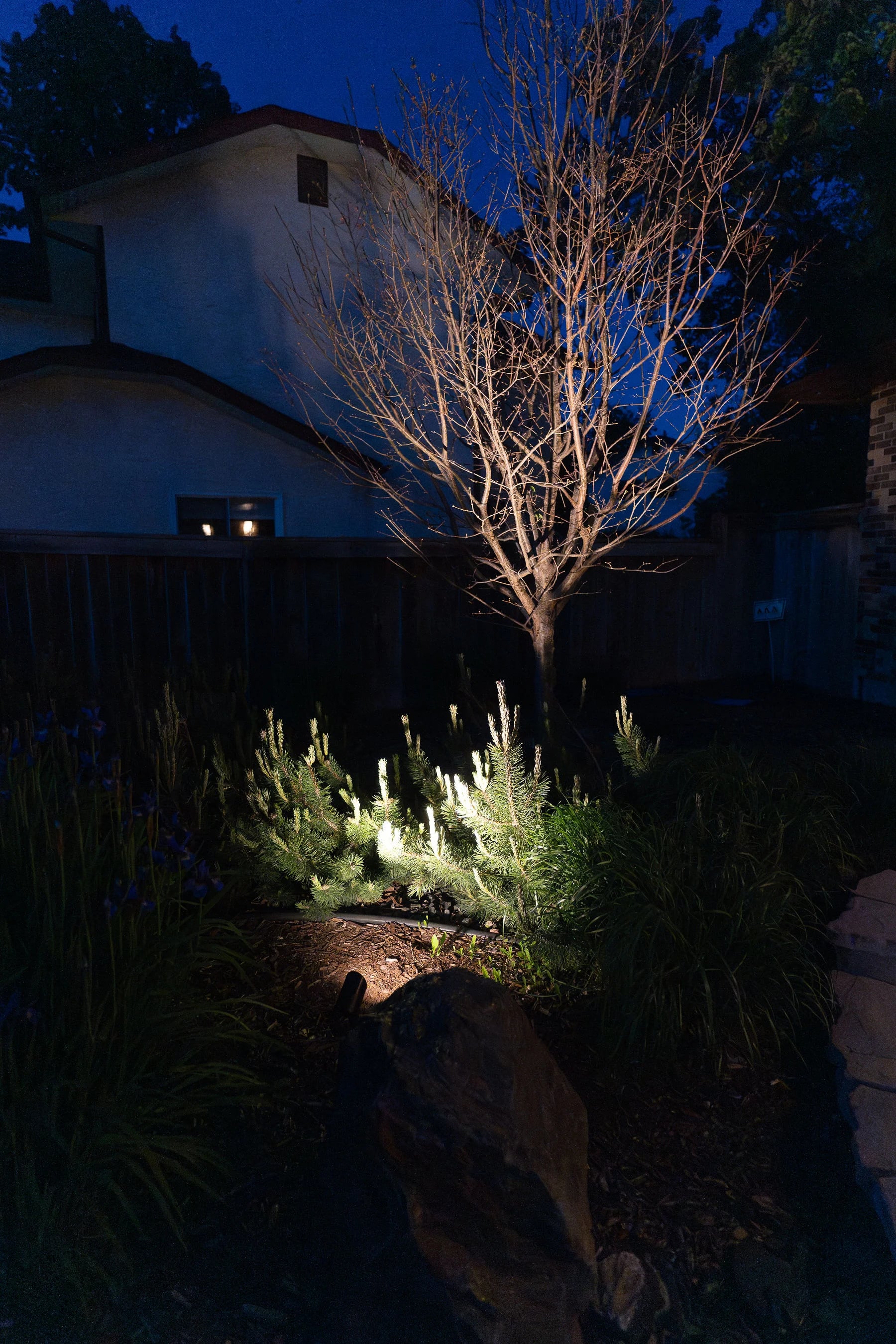 Gallery image 3 for Landscape Lighting – East Kildonan