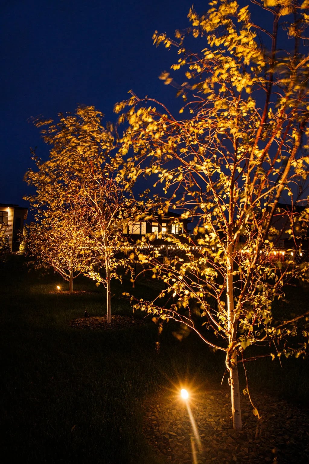 Gallery image 7 for Landscape Lighting – Taylor Farm